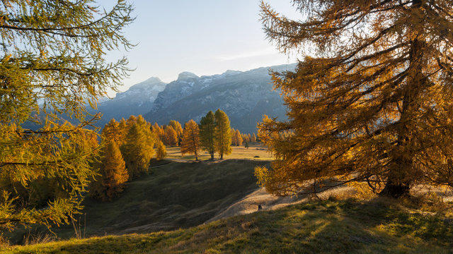 Prati dell'Armentara alpine meadows in autumn, South Tyrol, Dolomites, Italy