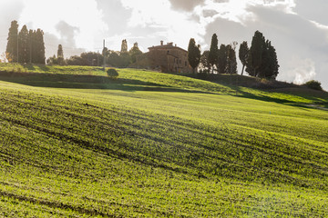 Fototapeta na wymiar panorama of Siena in the Val d'Orcia and the Chianti hills