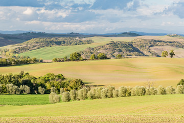 Fototapeta premium panorama of Siena in the Val d'Orcia and the Chianti hills