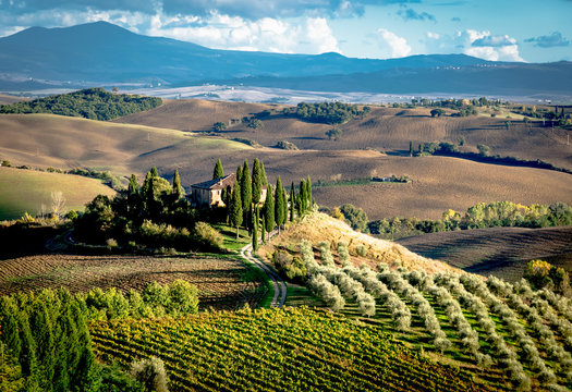 panorama of Siena in the Val d'Orcia and the Chianti hills