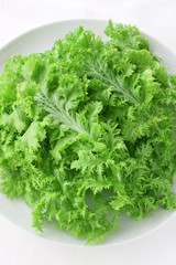 サラダわさび菜