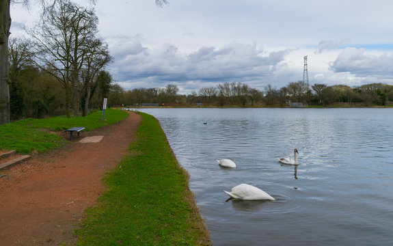 Lifford Reservoir 