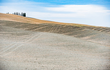 view of the Tuscan countryside in the lands of the city of Siena