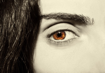 Obraz premium A beautiful insightful look woman's eye. Close up shot