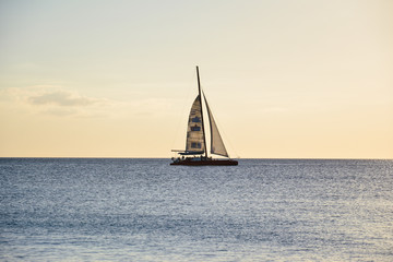 sea panoramic view of the Dominican Republic in the Caribbean with white beaches and palm trees