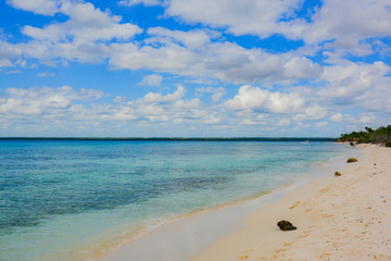 Fototapeta premium sea panoramic view of the Dominican Republic in the Caribbean with white beaches and palm trees