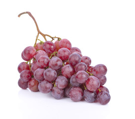 Red grapes white background