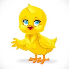 Cute baby chick shows a side isolated on a white background