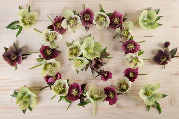 Creative flower arrangement pastel color on light wooden background. Top view, flat lay.