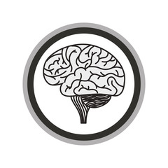brain organ human icon vector illustration design