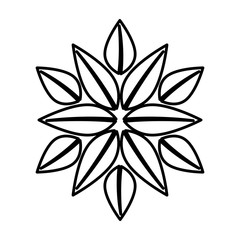 leafs ecology symbol icon vector illustration design