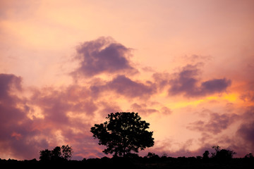 Silhouette Sunset soft focus