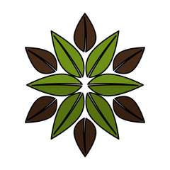 leafs ecology symbol icon vector illustration design