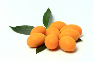 Mayongchid , Mayongchit marian plum, gandaria, plum mango , white background