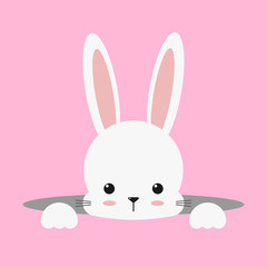 Cute White Bunny, Rabbit Easter