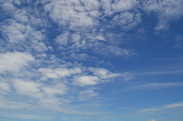 Blue sky with white fluffy clouds