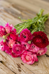 Bouquet of pink ranunculus lying on rustic tabletop