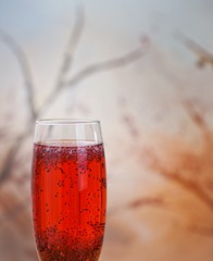 Chia drink