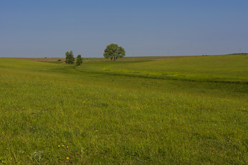 Fishing in private lake