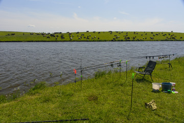 Obraz premium Fishing in private lake