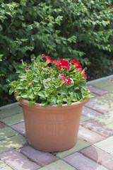 Monastery of Our Lady of Kazan.