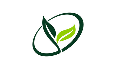 Health life Nutrition 