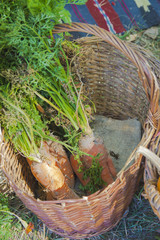 Skilled handicrafts. Fruits and vegetables at the fair