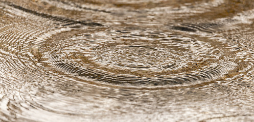 circles on the water surface