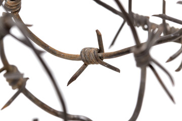 Barbed wire on white background. macro