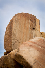 Joshua Tree