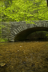Stone Bridge, Spring, Great Smoky Mountains NP