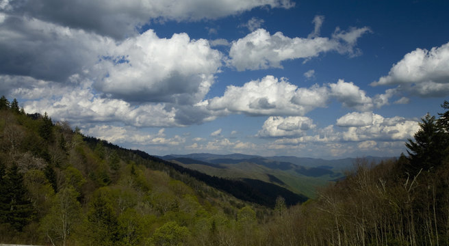 Spring from Newfound Gap Rd, Great Smoky Mountains NP, TN-NC