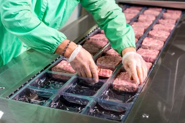 Photo sur Aluminium Viande Production de viande crue