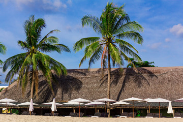 The lounges row. The row of lounges on the beach covered from the sun. Horizontal outdoors shot.