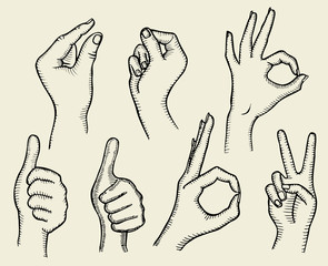 Fototapeta premium Set of Four Hands
