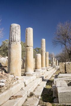 A Row of Columns in Lagina, Turkey