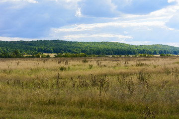Fototapeta na wymiar The landscape of fields and mountains in western Ukraine