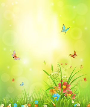 Summer background with meadow grass, flowers and insects