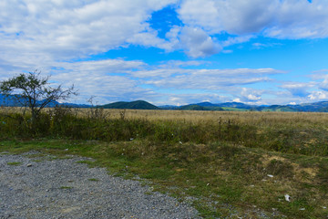 Mountain road. The landscape of fields and mountains