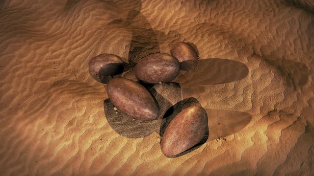 A cluster of dinosaur eggs buried in the sand dunes after extinction event. Use for documentary action,scinece fiction movie scene, cutaway, you name it.