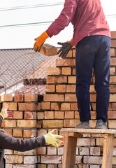 Worker builds a brick wall in the house