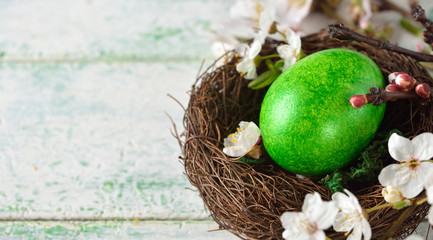 Green easter egg in a nest