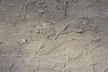 Cement plaster texture