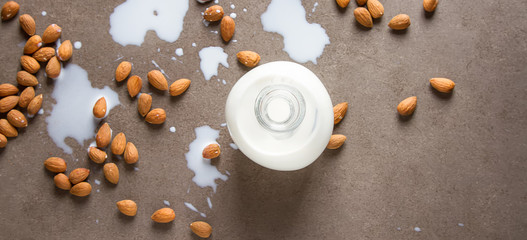 Fototapeta na wymiar Dairy alternative milk. Almond milk in a glass bottle and fresh nuts over a gray background, selective focus. Clean eating, dairy-free, vegan, vegetarian, allergy-friendly, healthy food concept