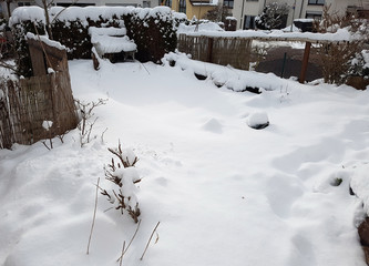 Garten, Schnee, Winter