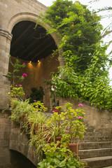 RHODES, GREECE: Plants in Antique fortress