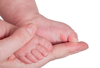 infant legs in mother hand isolated on white