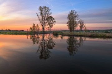 grove is reflected in the calm water of the lake at sunset