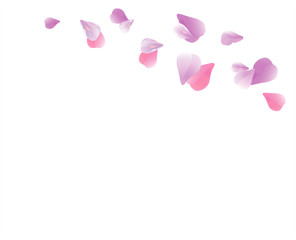 Purple Violet flying petals isolated on White background. Sakura Roses petals. Vector 
