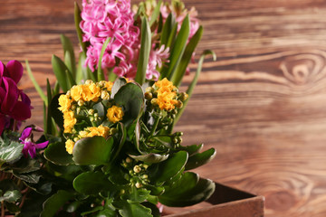 Beautiful flowers in box on wooden background